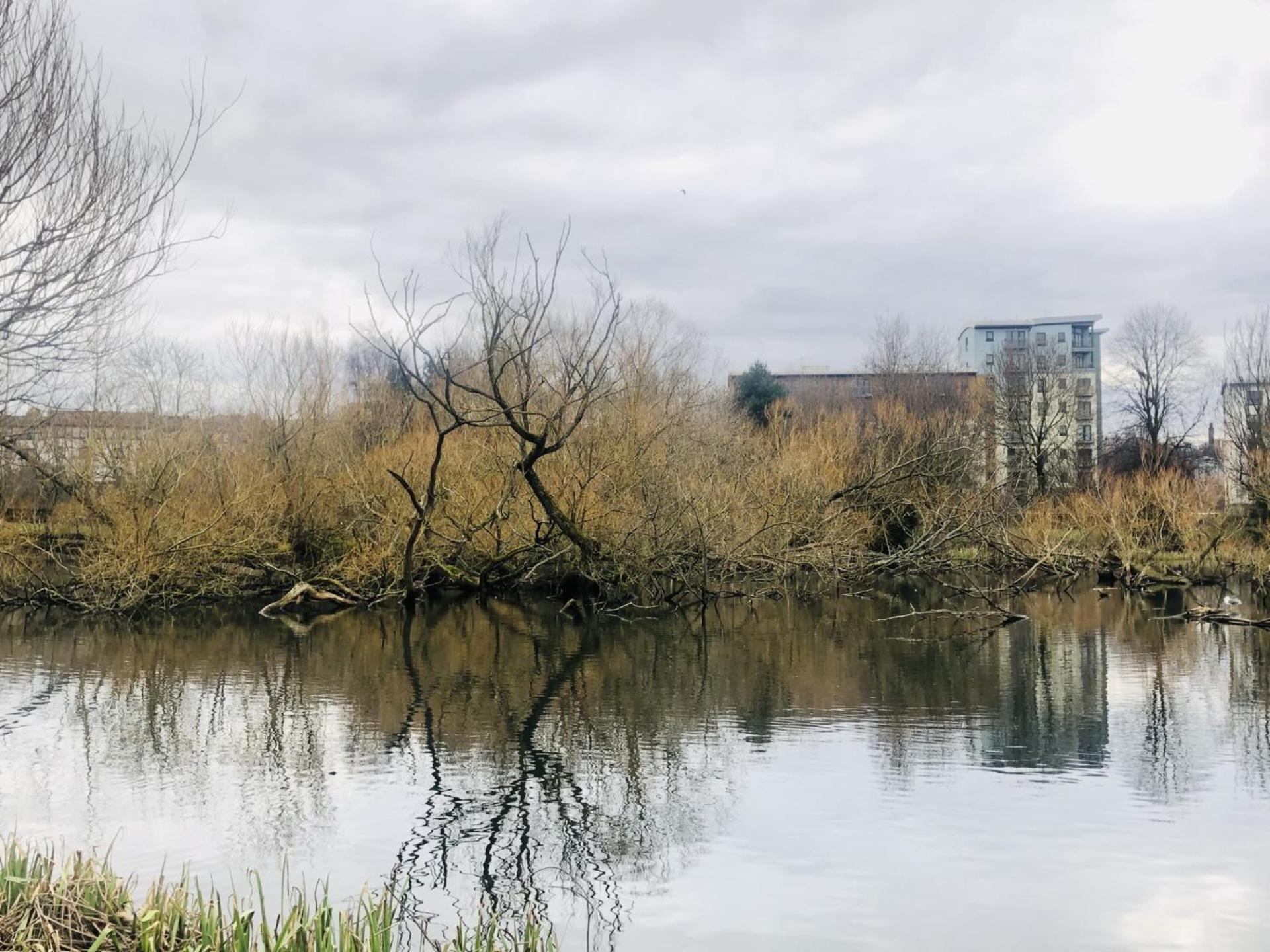 Modern Spacious Retreat Full Fibre Wi-Fi & Free Parking EDI Exterior foto